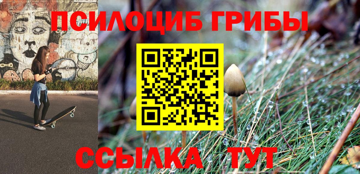Галлюциногенные грибы мицелий  Вход с VPN  Самара  Галлюциногенные грибы мицелий 